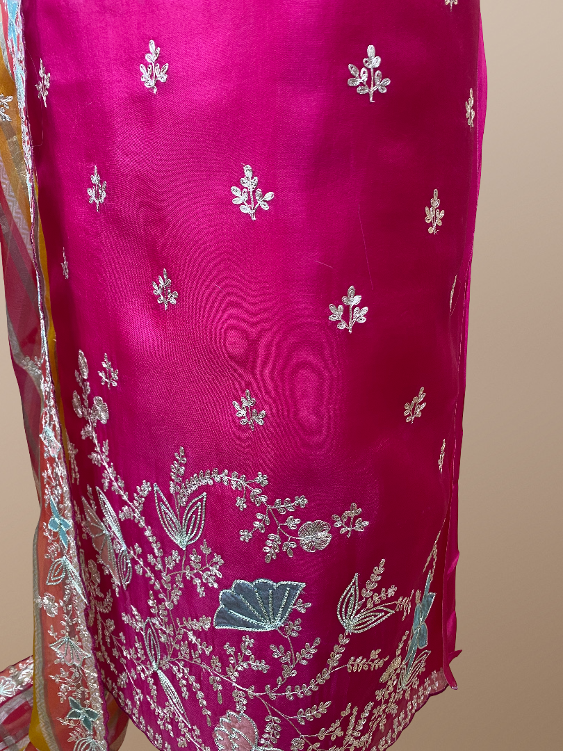 Pure Organza with Pitta Applique Embroidery with multicolour Dupatta