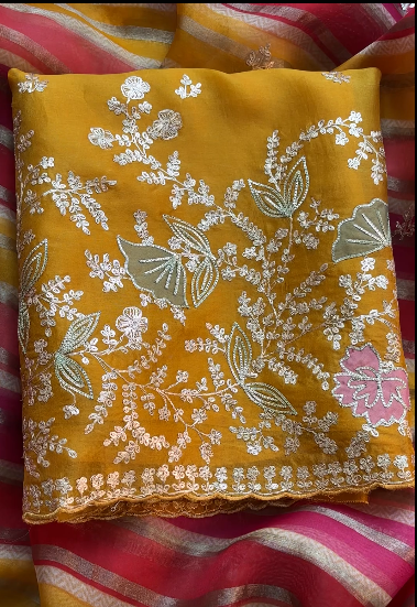 Pure Organza with Pitta Applique Embroidery with multicolour Dupatta